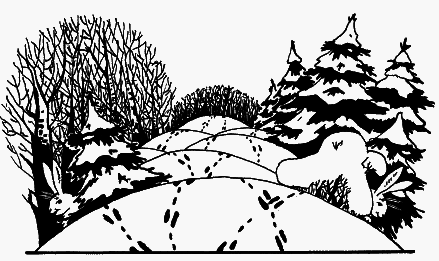 Волшебный короб. Старинные русские пословицы, поговорки, загадки - _045.png