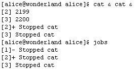 Прикладные свободные программы и системы в школе - _1_55.png