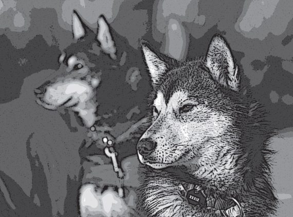 Скелеты Острова мух - i_003.jpg