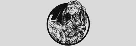 Приключения чёрной таксы - _35.jpg