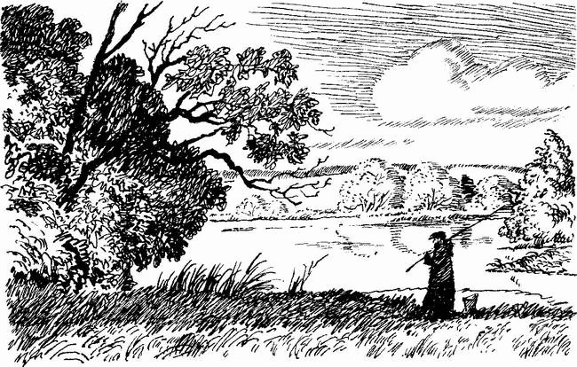 Камешки на ладони (сборник) - i_015.png