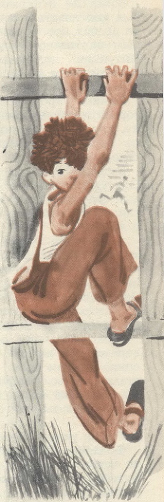 Алые перья стрел - image10.jpg_0