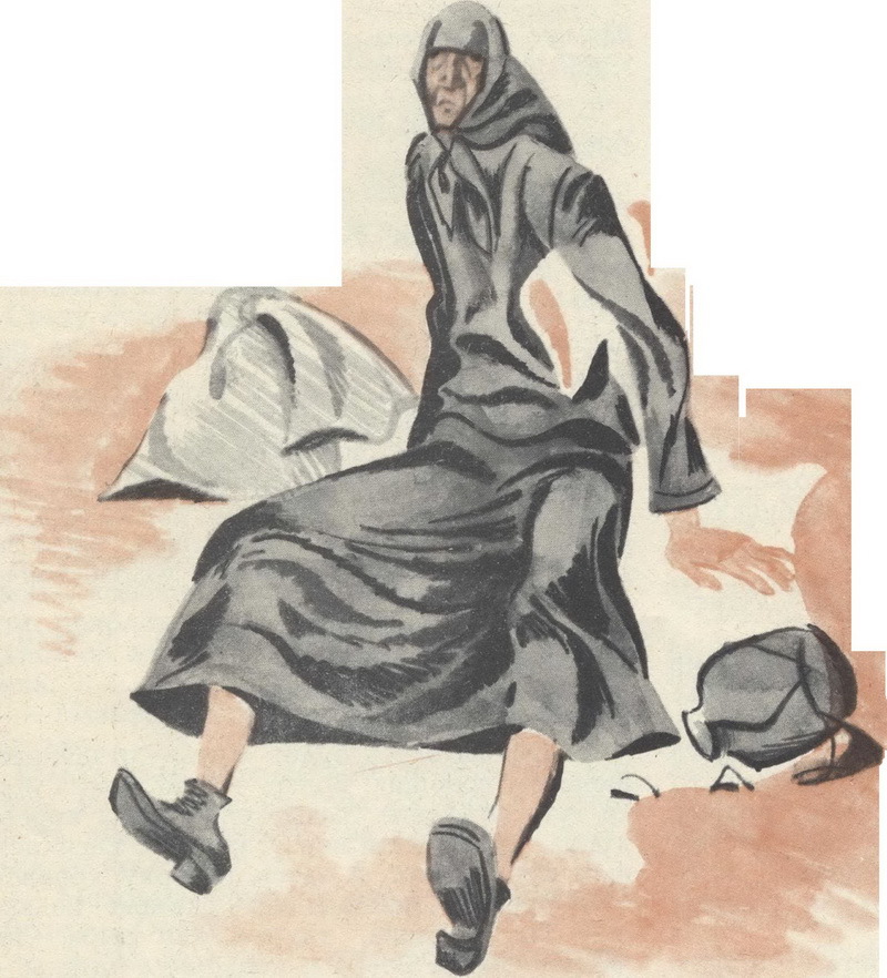 Алые перья стрел - image9.jpg_0