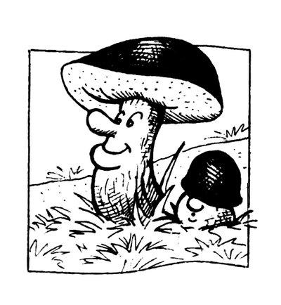 Маг на два часа - i_004.png