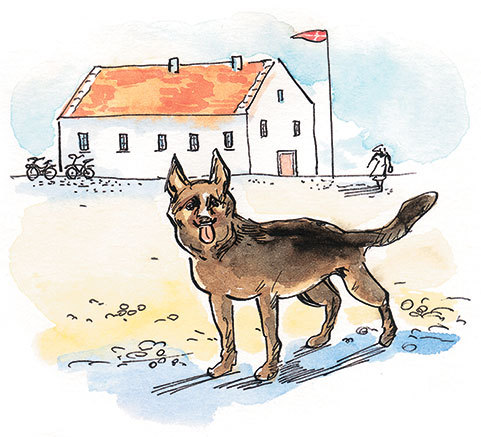 Папа, мама, бабушка и восемь детей в Дании (сборник) - _12.jpg