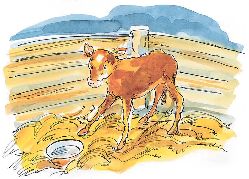 Папа, мама, бабушка и восемь детей в Дании (сборник) - _50.jpg