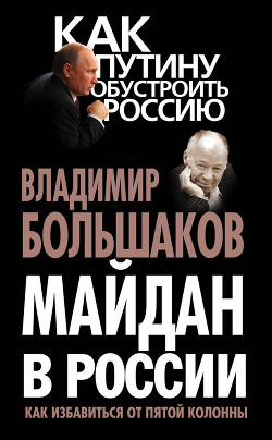 Серия книг Как Путину обустроить Россию