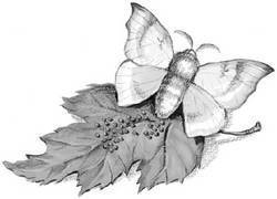 Все самое лучшее для детей (сборник) - i_070.jpg