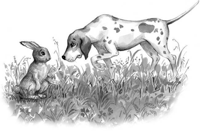 Все самое лучшее для детей (сборник) - i_155.jpg