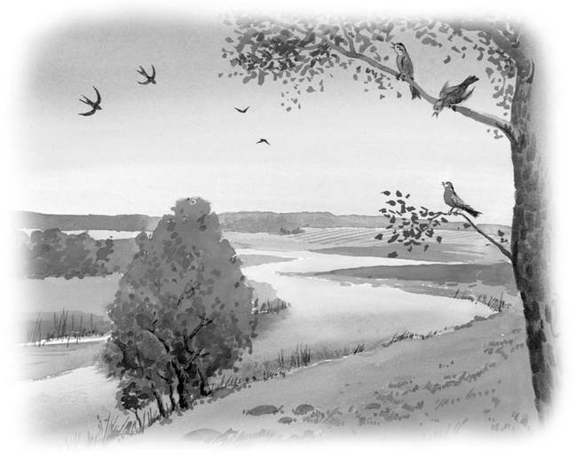 Все самое лучшее для детей (сборник) - i_222.jpg