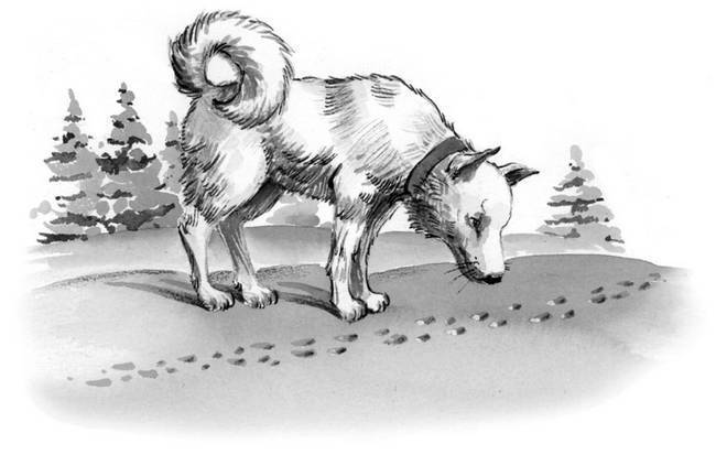 Все самое лучшее для детей (сборник) - i_225.jpg