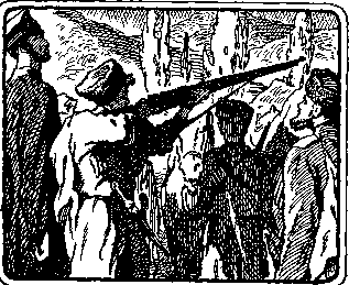 По следам дикого зубра - any2fbimgloader1.png