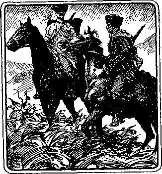 По следам дикого зубра - any2fbimgloader7.png