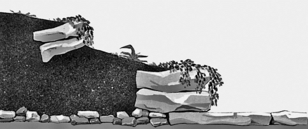 Загородный участок с нуля - i_013.jpg