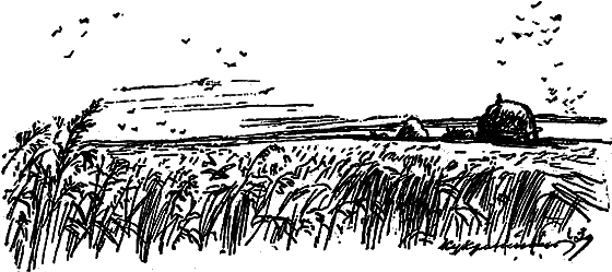 Вечера на хуторе близ Диканьки. Изд. 1941 г. Илл. - i_011.png