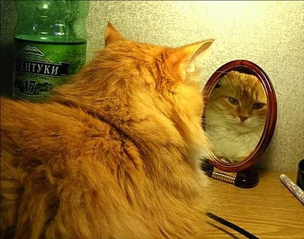 Готовимся к пенсии: осваиваем Интернет - i_082.jpg