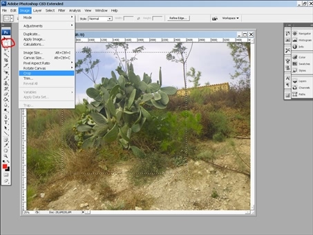 Готовимся к пенсии: осваиваем Интернет - i_176.jpg