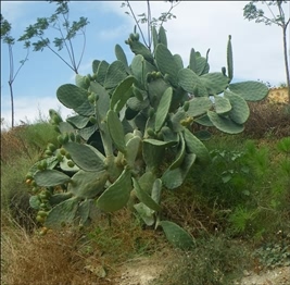 Готовимся к пенсии: осваиваем Интернет - i_177.jpg