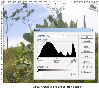 Готовимся к пенсии: осваиваем Интернет - i_178.jpg