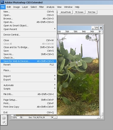 Готовимся к пенсии: осваиваем Интернет - i_182.jpg