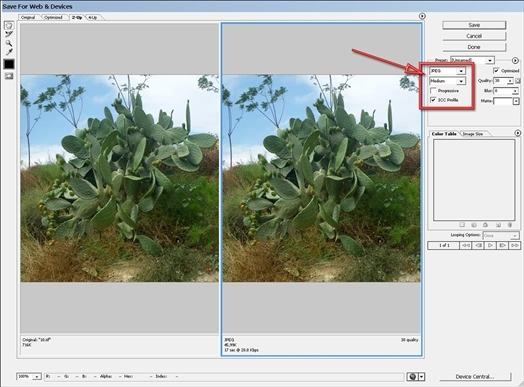 Готовимся к пенсии: осваиваем Интернет - i_183.jpg