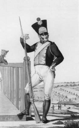 «Москва, спаленная пожаром». Первопрестольная в 1812 году - i_081.jpg