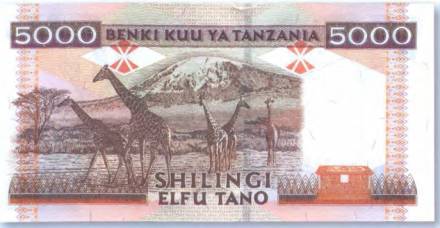 История банкнот : тайны бумажных денег - pic_121.jpg