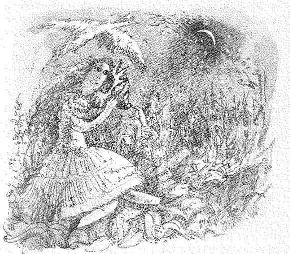 Седьмая принцесса (сборник) - i_015.jpg