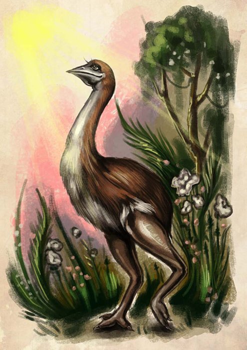 Остров Дадо. Суеверная Демократия - _17.jpg