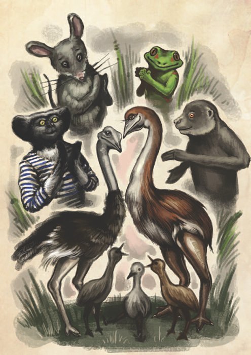 Остров Дадо. Суеверная Демократия - _18.jpg