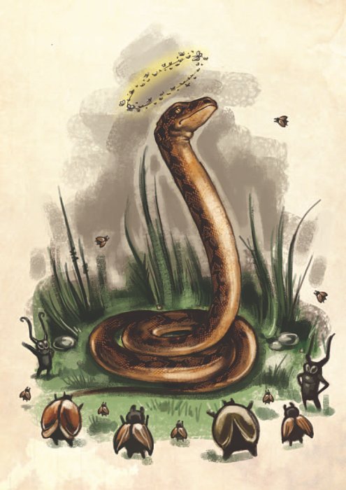 Остров Дадо. Суеверная Демократия - _21.jpg