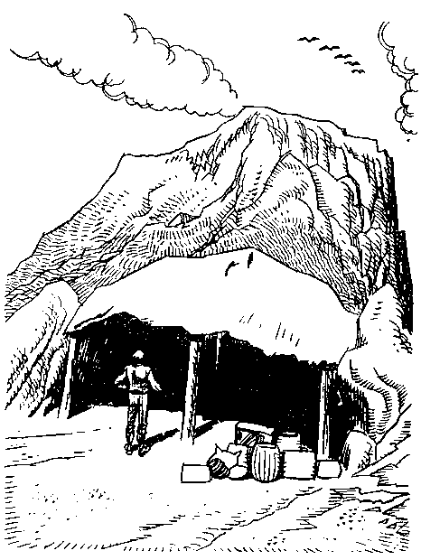 Приключения Робинзона Крузо (илл.) - i_022.png