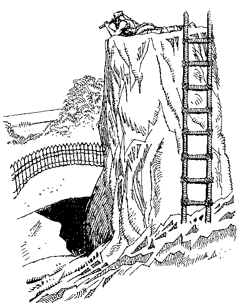 Приключения Робинзона Крузо (илл.) - i_051.png