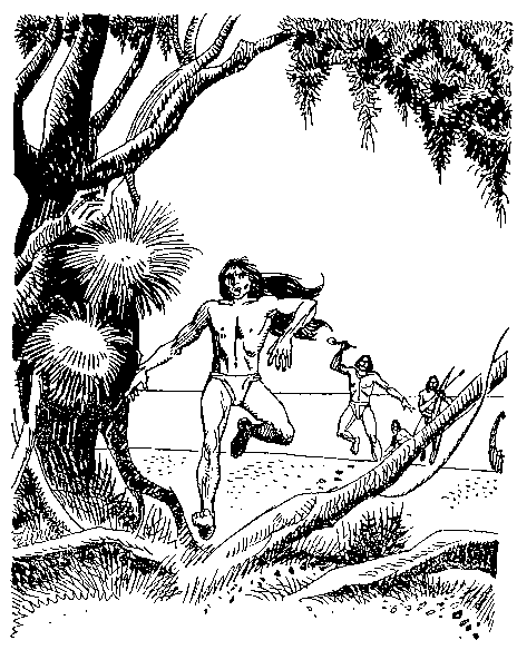 Приключения Робинзона Крузо (илл.) - i_055.png