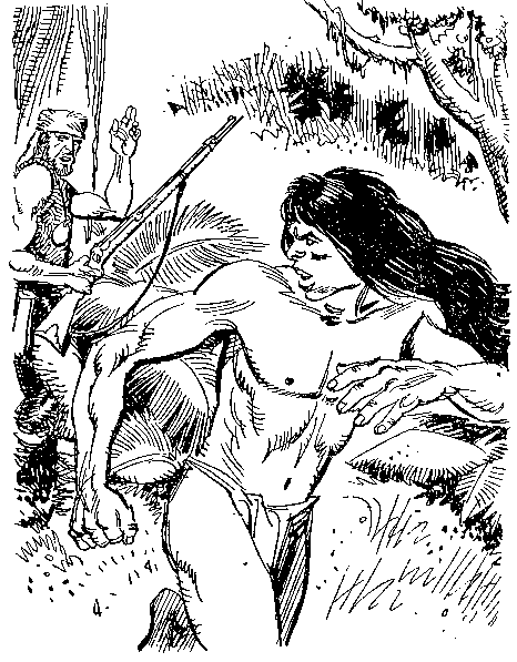 Приключения Робинзона Крузо (илл.) - i_056.png