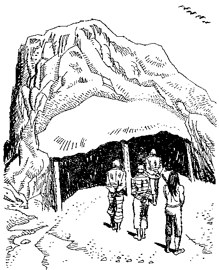 Приключения Робинзона Крузо (илл.) - i_092.png