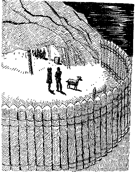 Приключения Робинзона Крузо (илл.) - i_102.png