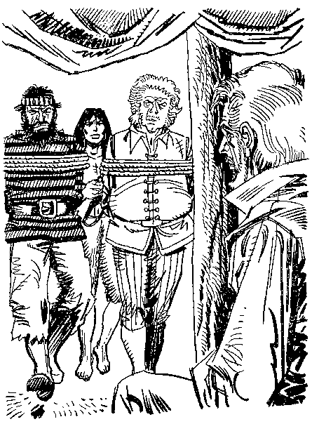 Приключения Робинзона Крузо (илл.) - i_107.png