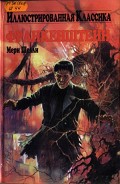 Серия книг Иллюстрированная классика