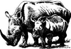 Там, где бродили львы (с иллюстрациями) - i_009.jpg