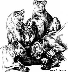 Там, где бродили львы (с иллюстрациями) - i_011.jpg