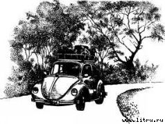 Там, где бродили львы (с иллюстрациями) - i_014.jpg