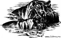 Там, где бродили львы (с иллюстрациями) - i_020.jpg