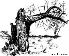 Там, где бродили львы (с иллюстрациями) - i_022.jpg