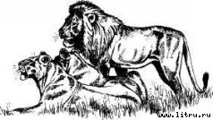 Там, где бродили львы (с иллюстрациями) - i_027.jpg