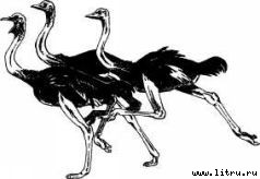 Там, где бродили львы (с иллюстрациями) - i_046.jpg