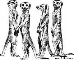 Там, где бродили львы (с иллюстрациями) - i_049.jpg