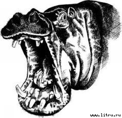 Там, где бродили львы (с иллюстрациями) - i_056.jpg