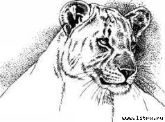 Там, где бродили львы (с иллюстрациями) - i_062.jpg