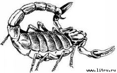 Там, где бродили львы (с иллюстрациями) - i_075.jpg